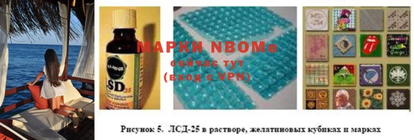 хмурый Бородино