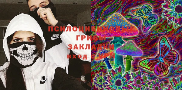 соль ск Богородск