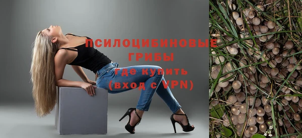 хмурый Бородино