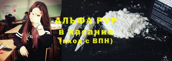 хмурый Бородино